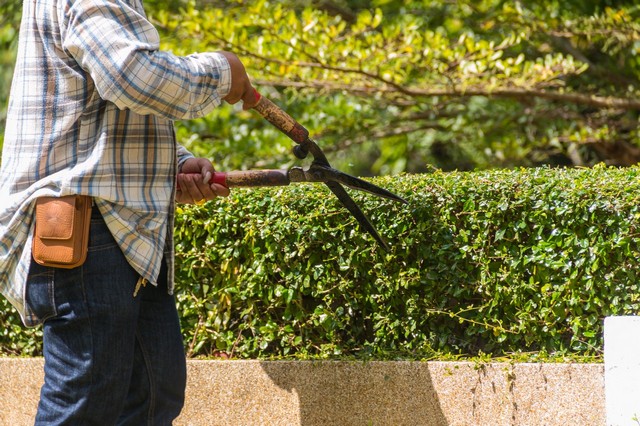 Garden Maintenance Hanwell, W7